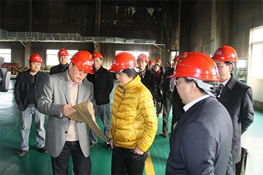 2012年1月31日，时任嘉兴市委书记鲁俊率领市发改委等市级部门负责人到公司调研